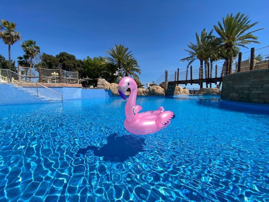 Flamingo Apartment - Imperial Park - Sea View, 6 Pools, Terrace كاليبي المظهر الخارجي الصورة